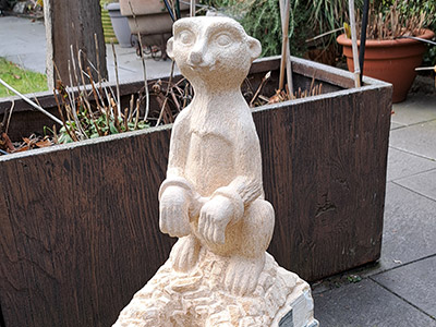 Erdmännchen auf Steinsockel